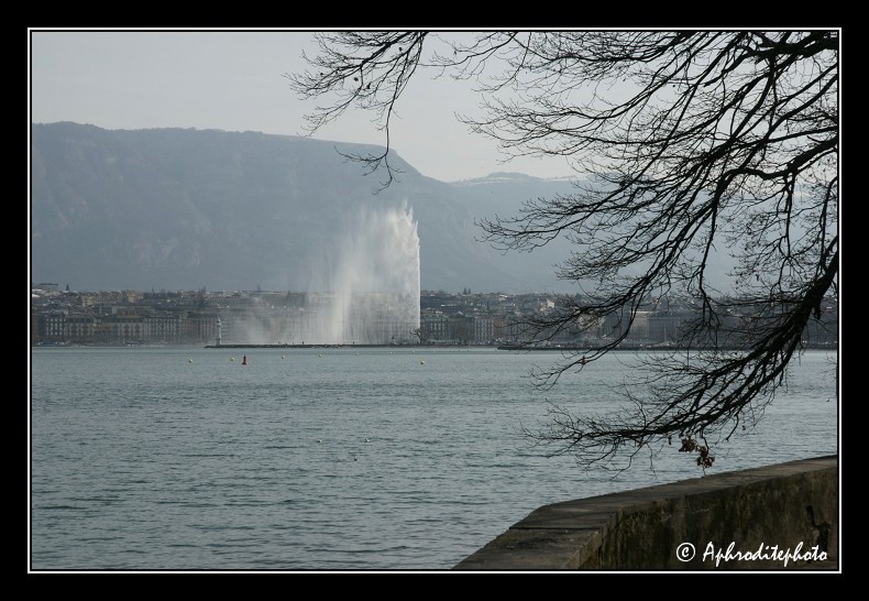 154 La rade vue du parc Perle du Lac